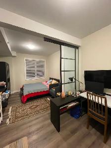 Furnished One-Bedroom/Bachelor for Rent Near Ottawa University - Photo 10