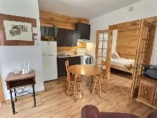 3 1/2 meublé – 1 chambre – Tout inclus – Saint-Roch - Photo 5