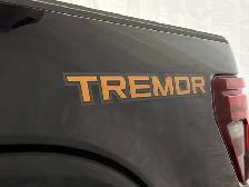 2026 Ford F-150 Tremor - Photo 9