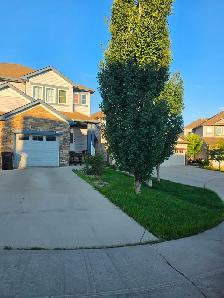 Spacious 3 Bedroom Duplex for RENT in SW Edmonton