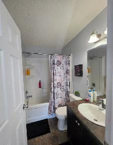 Spacious 3 Bedroom Duplex for RENT in SW Edmonton - Photo 8