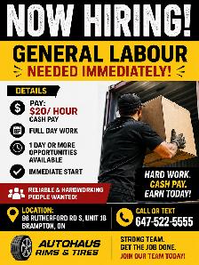 GENERAL LABOUR NEEDED ASAP – CONTAINER UNLOADING