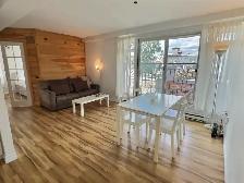 Condo 3 1/2 meublé et tout inclus – Montcalm / St-Jean-Baptiste - Photo 5
