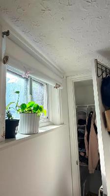 Private room with private bathroom, Bathurst and Finch area - Photo 5