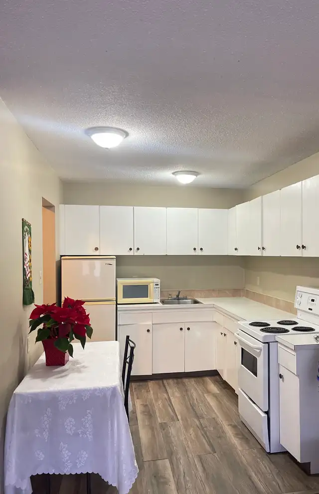 FOR RENT 1 Bd apartment - 11916 105 St Edmonton area NAIT