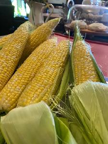 Fresh Sweet Corn on the Cob - Photo 2