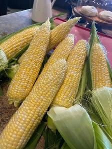 Fresh Sweet Corn on the Cob - Photo 3