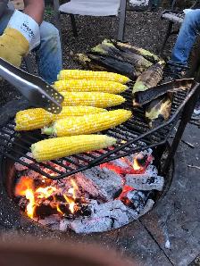 Fresh Sweet Corn on the Cob - Photo 7