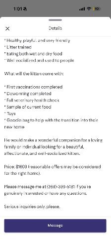 do not buy from these people or sell ur cat to them - Photo 4