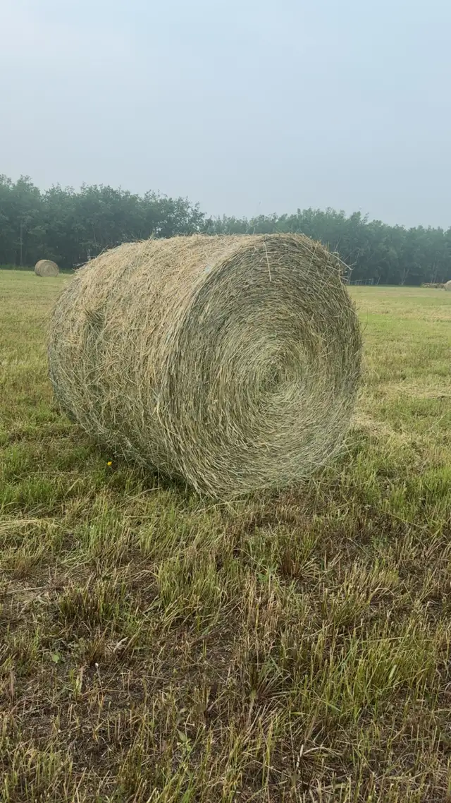 2026 Hay Bales for Sale