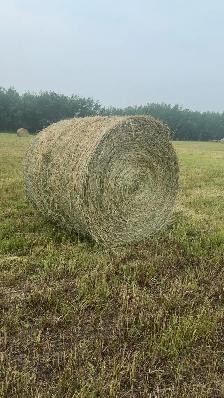 2026 Hay Bales for Sale
