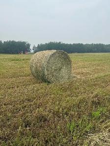 2026 Hay Bales for Sale - Photo 2