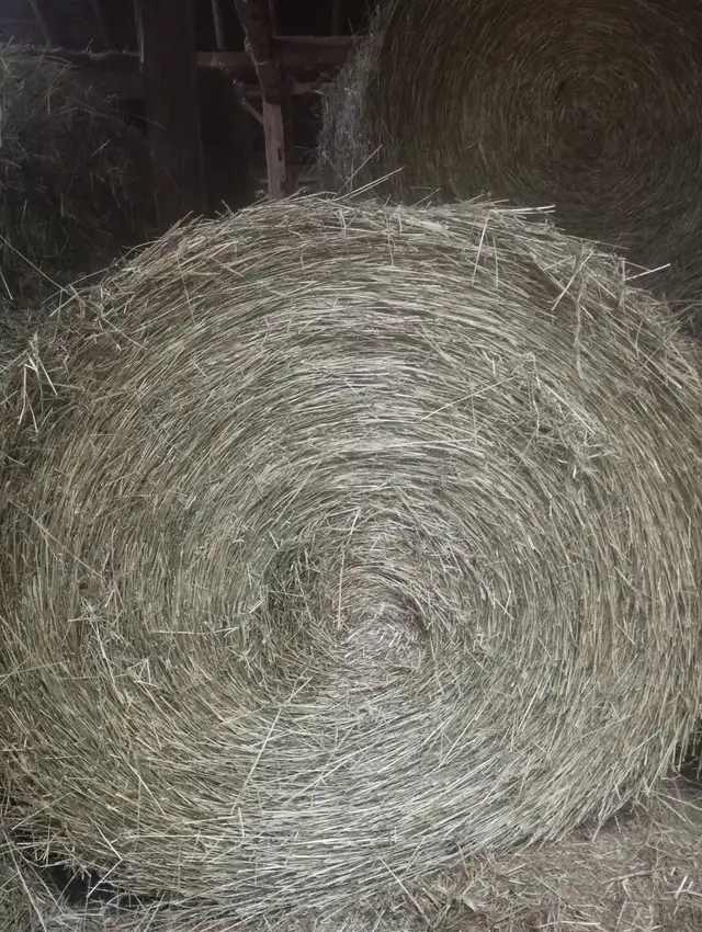 1st Cut Hay Round Bales 4'X5' 2026