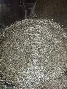 1st Cut Hay Round Bales 4'X5' 2026