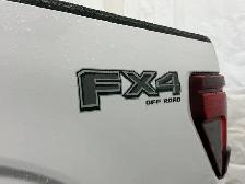 2026 Ford F-150 XLT - Photo 9