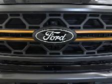 2025 Ford F-150 Tremor - Photo 6