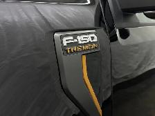2025 Ford F-150 Tremor - Photo 8