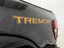 2025 Ford F-150 Tremor - Photo 9