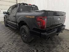2025 Ford F-150 Tremor - Photo 11