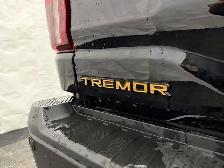 2025 Ford F-150 Tremor - Photo 14