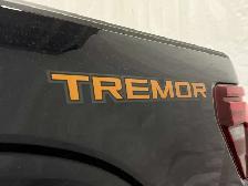 2026 Ford F-150 Tremor - Photo 8