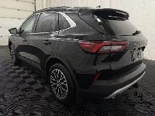 2025 Ford Escape PHEV - Photo 9