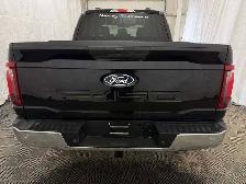 2025 Ford F-150 XLT - Photo 10