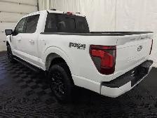 2026 Ford F-150 XLT - Photo 11