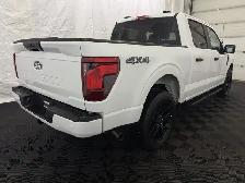 2026 Ford F-150 STX - Photo 14