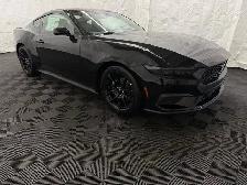 2026 Ford Mustang I4CP - Photo 2