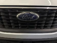 2025 Ford Escape Platinum - Photo 6