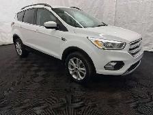 2019 Ford Escape SEL - Photo 2