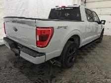 2023 Ford F-150 XL - Photo 17