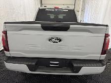2026 Ford F-150 STX - Photo 11