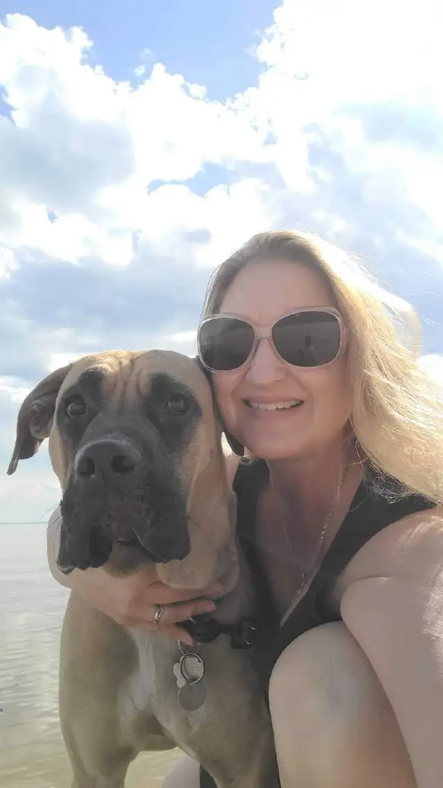 PROFESSIONAL DOG TRAINER PRIVATE SESSIONS