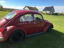 1968 VW Beetle - Photo 8