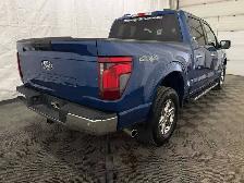2025 Ford F-150 XLT - Photo 14