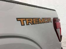 2026 Ford F-150 Tremor - Photo 9
