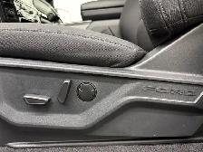 2026 Ford F-150 XLT - Photo 19