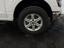 2026 Ford F-150 XLT - Photo 4