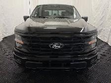 2026 Ford F-150 XLT - Photo 5