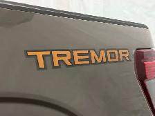 2026 Ford F-150 Tremor - Photo 8