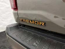 2026 Ford F-150 Tremor - Photo 13