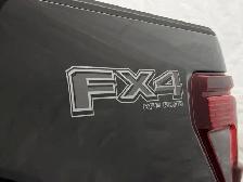 2026 Ford F-150 XLT - Photo 9