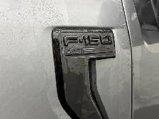 2025 Ford F-150 XLT - Photo 8