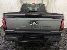 2025 Ford F-150 XLT - Photo 12