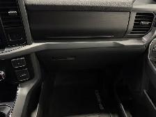 2025 Ford F-150 XLT - Photo 32