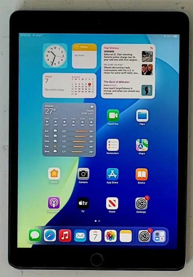 256GB 9th Gen Apple IPad (32198437)