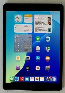 256GB 9th Gen Apple IPad (32198437)