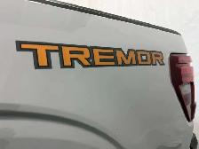 2026 Ford F-150 Tremor - Photo 8
